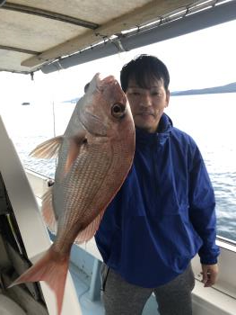 鯛